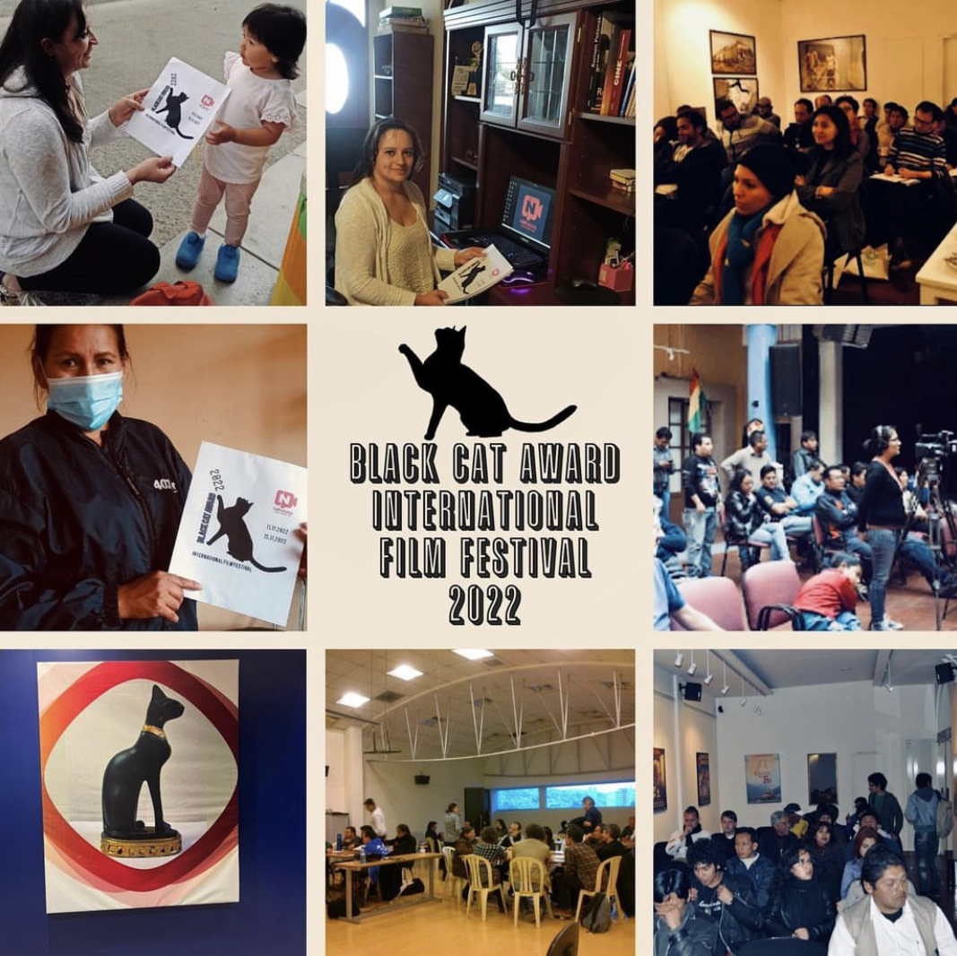 Black cat award international film festival